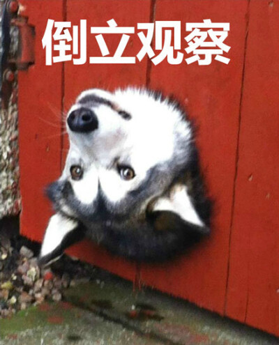 免费看美女裸露无档网站 免费帮助他们树立正确观念