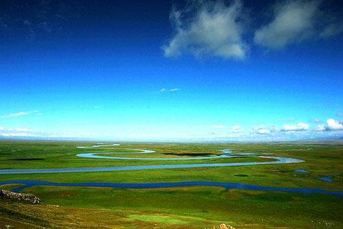 那种网站小视频 小视如果您是那种想学习知识