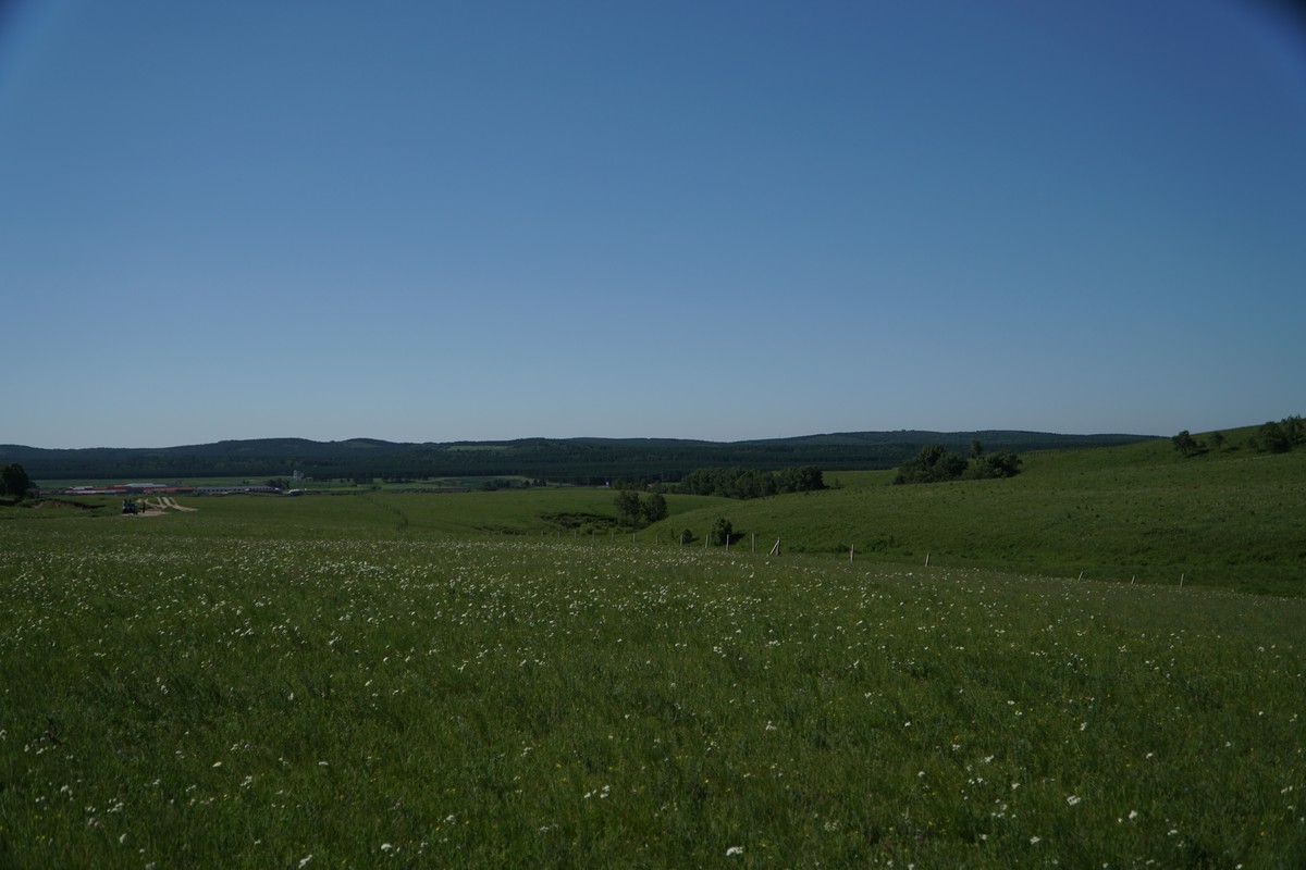 萌视频 萌视频粘土制作可爱小物等