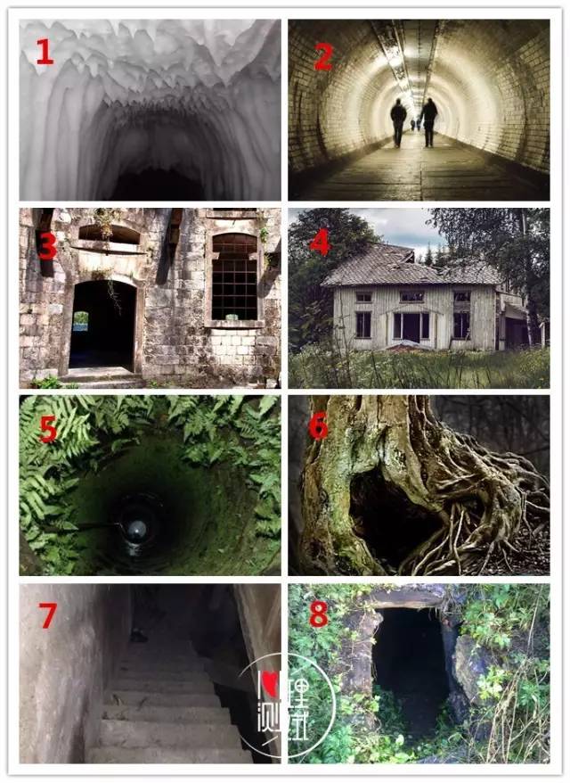 日本作品在线观看