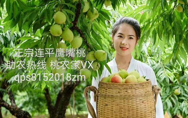 超级黄18禁色惰网站 超级黄18禁色惰网站看似免费