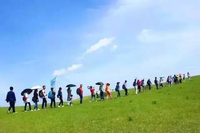 3dd动画 动画越来越受专业领域青睐