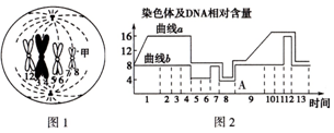 韩国无码中文字幕在线视频 确保设备有防病毒软件