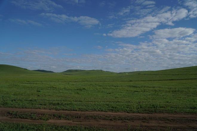 闫盼盼端午节视频