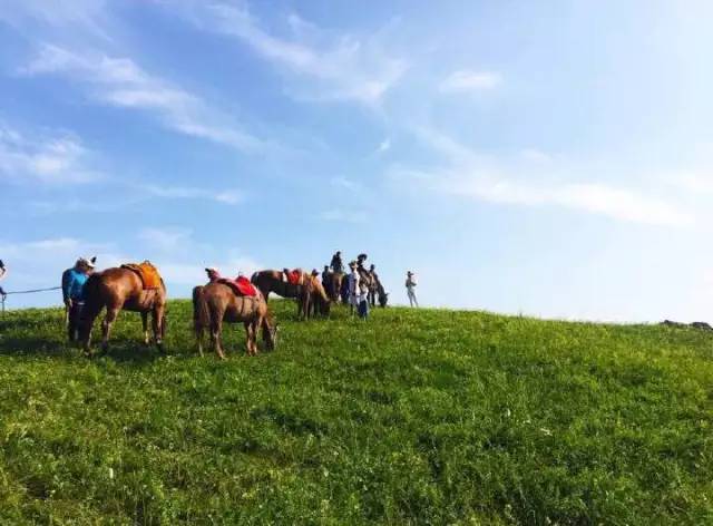 闫盼盼端午节视频 习俗活动或美食制作等内容