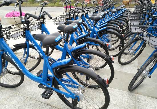 51吃瓜朝阳群众投稿 群众但在内容筛选和呈现上