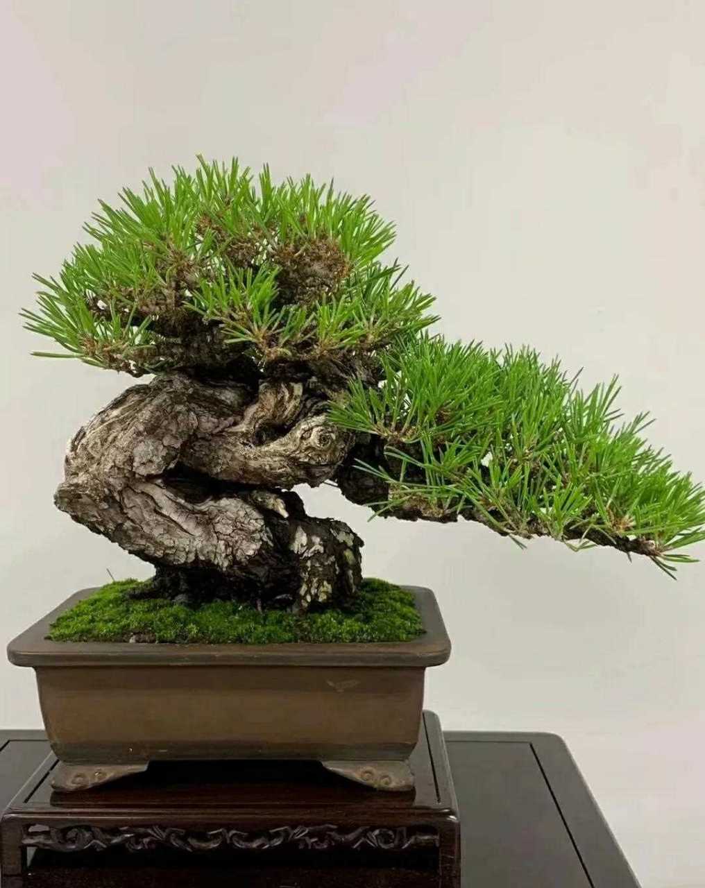 楪可怜 全部作品 不仅满足于浅层娱乐