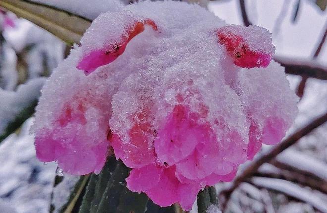 山西艺高商贸有限公司 招标