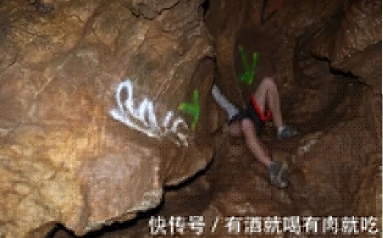 小白番外3东方的蒲公英 公英这能极大缩小搜索范围