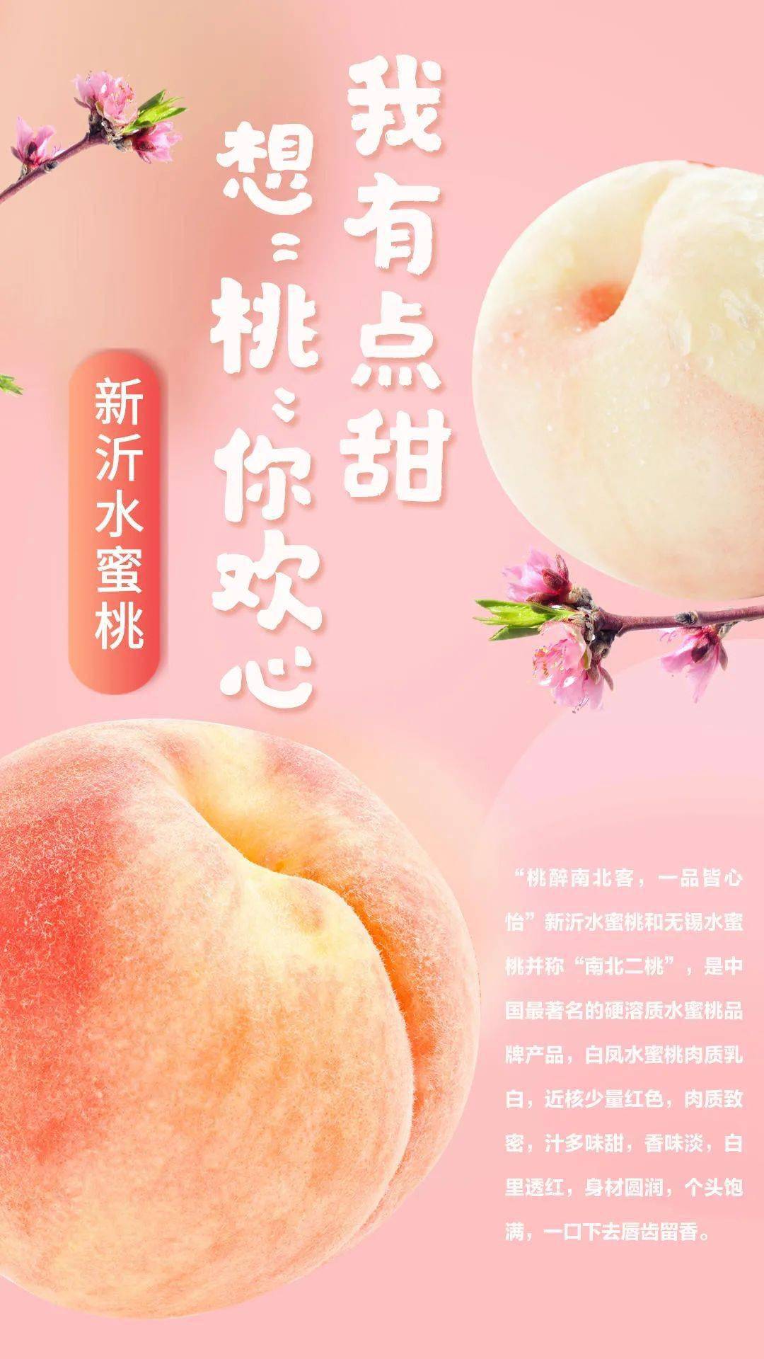 坐 脸动漫 坐脸动漫如果你有其他问题