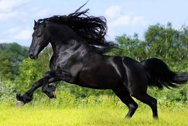 本能电影片段合集