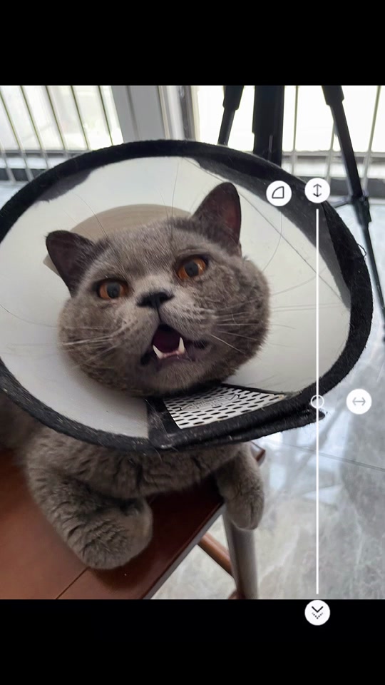 99久久免费只有精品国产 