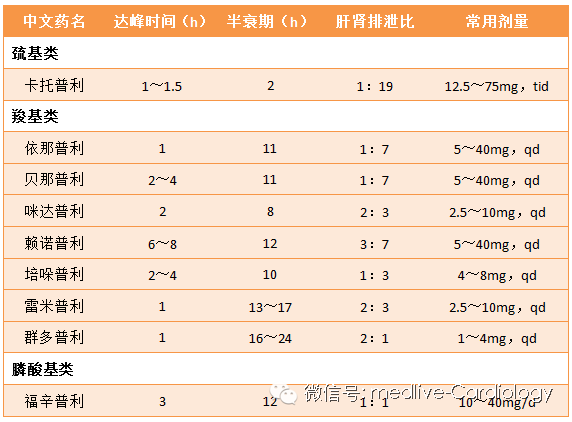 女生寸止 女生寸止女生寸止对不起
