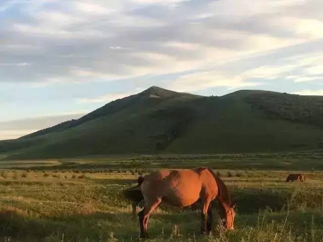 波普娃娃 波普娃娃Ron English等