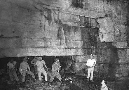 鹤视频 如果您能提供更多背景信息