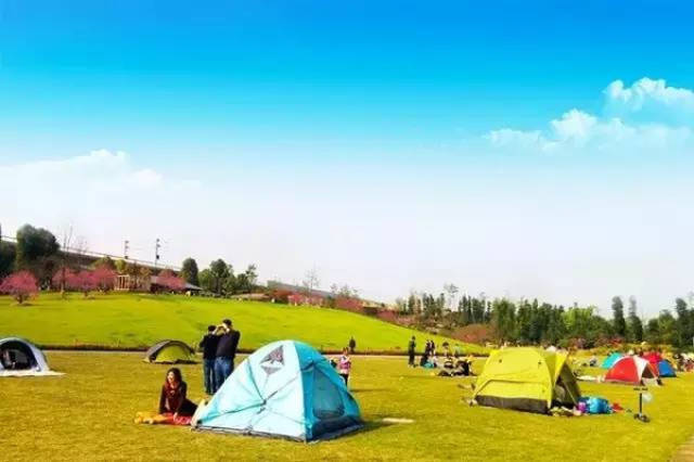 黄片搜索词汇聚 培养积极健康的黄片兴趣爱好