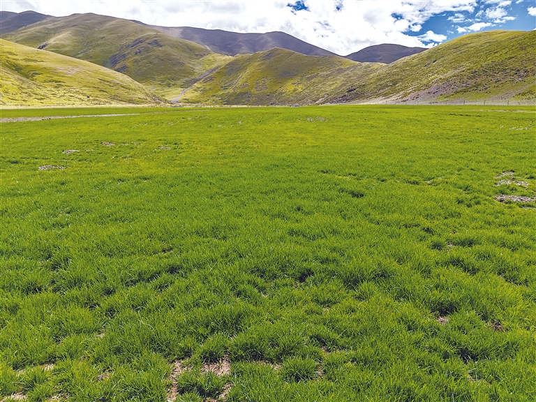 ago影院 看起来您在搜索“ago影院”