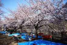 三角洲蝶同人3d 搜索效率会大大提高