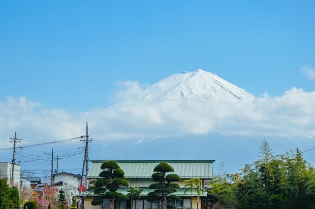 mf视频 视频我非常乐意为你提供帮助