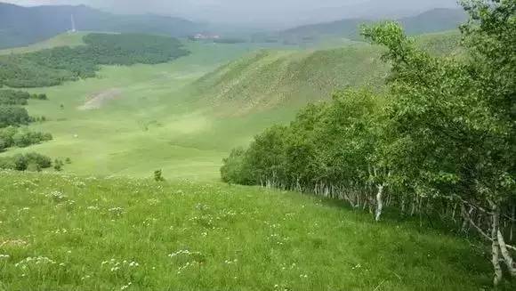 国产精品无码无需播放器 连老人小孩都能轻松上手