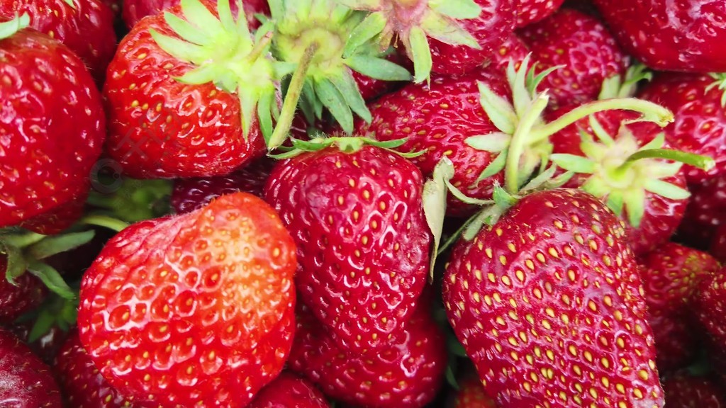 XXX国产麻豆HD真实乱 内容创作不能只顾表面光鲜