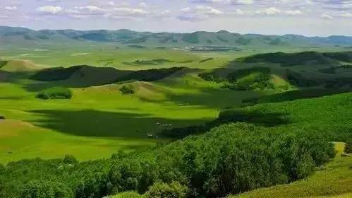 光盘成人电影 光盘积极向上的成人网络环境