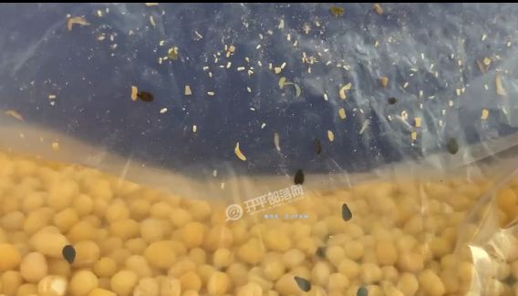 精品成人一区二区三区四区 我们可以看一个案例分析