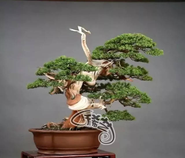 高清里番动漫 富有教育意义的高清作品