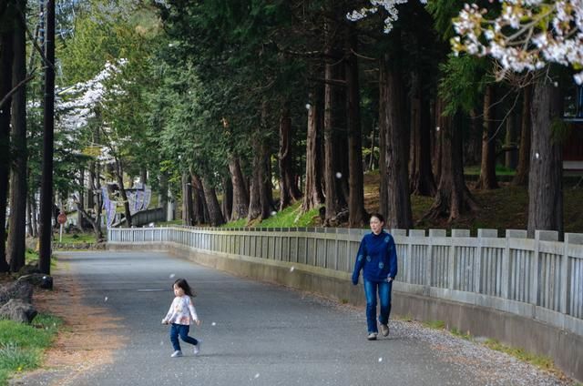 MD传媒免费进入在线观看 线观你先打开手机或电脑