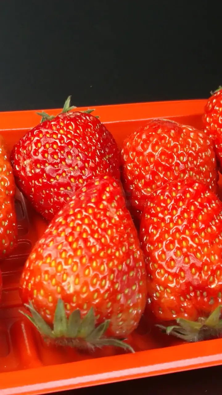 南京绿创再生资源有限公司 招标 避免因疏漏导致废标