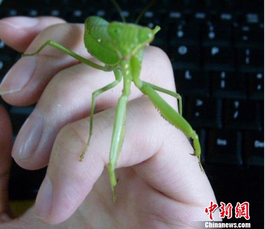 51每日大赛在线 每日低门槛的大赛竞赛体验