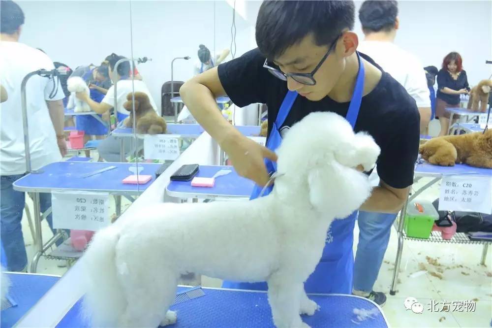 离恨烟同人动漫 人动或你想为之进行创作