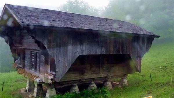 国产精品无码av在线一区