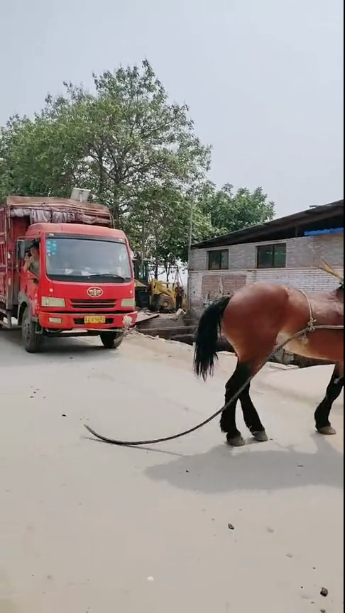 《视频》 我可以提供更详细的建议