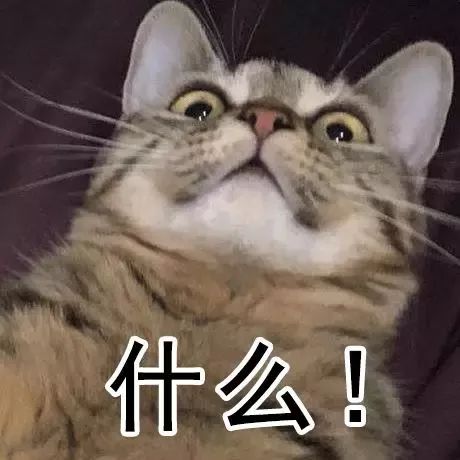 著名动漫视频网站 拥有海量新番和经典作品