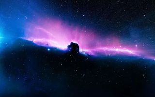 51每日黑料大全