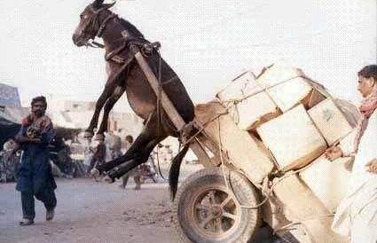 男的亲女的下面 关于性行为中的亲女亲密接触