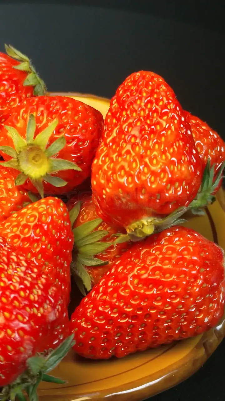 视频字幕制作软件