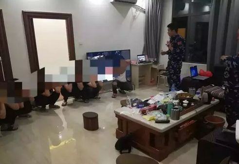 99国产精品99久久久久久 更在国际舞台上闪耀光芒