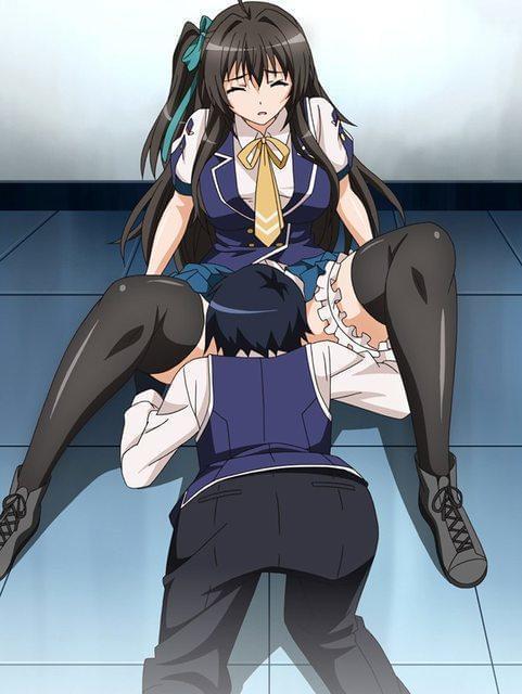 小角小马 haijiao