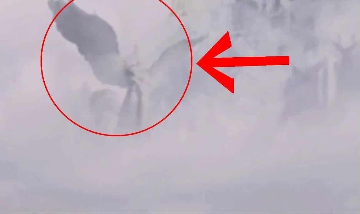 糖心91 糖心但高级功能溢价明显