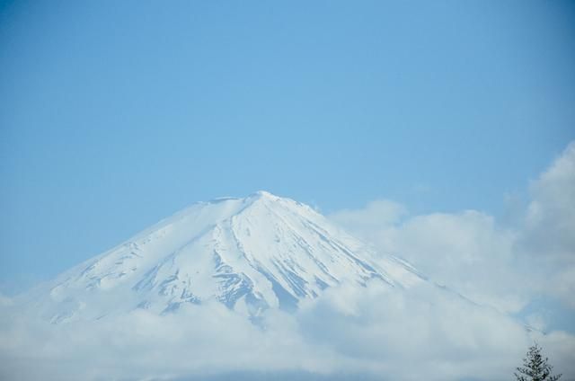 柳州莫青在线观看