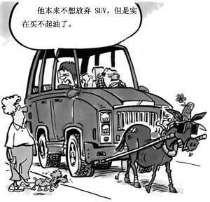 啄木鸟 macro 啄木用户可以自由组合和修改