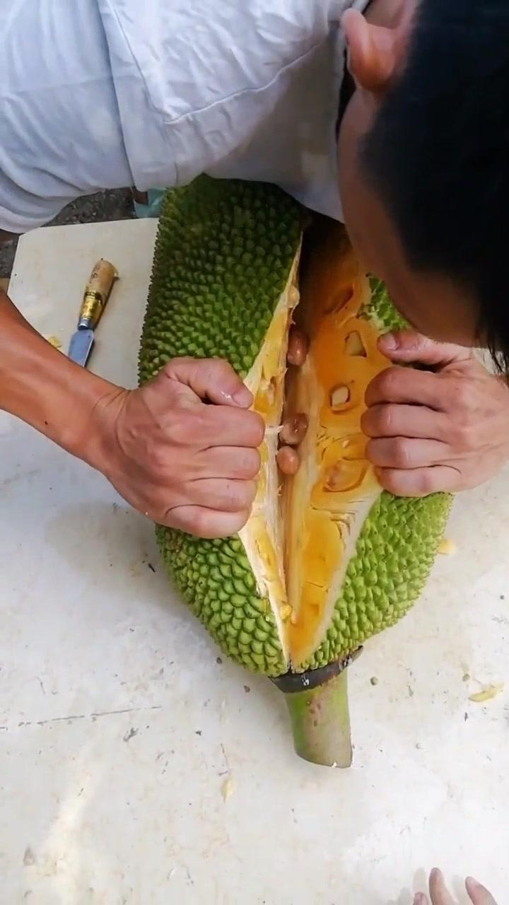 韩国美女vip内部大尺度