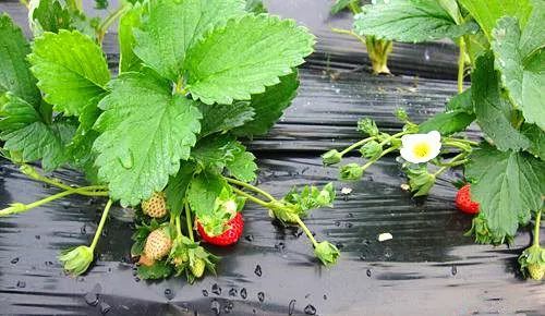 WLJZLJZLJZLJZLJZLJ在线观看 线观别把手机塞满了