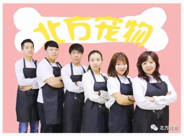 精品久久久久久中文字幕无码软件