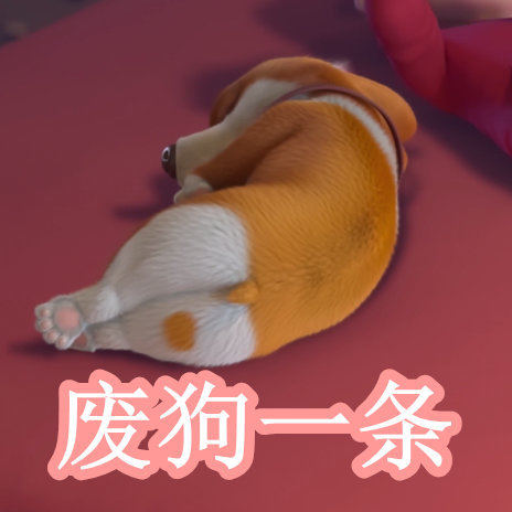 国产伦精品免编号公布