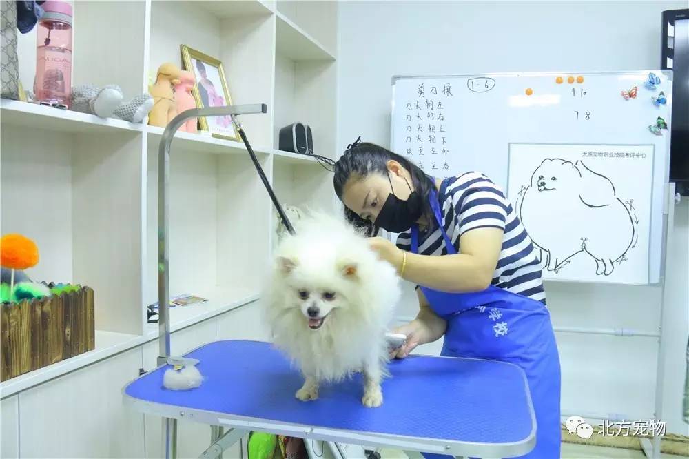 电影同人 你可以深化原著感情