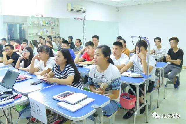 电影里母子恋德国 都在艺术上取得了很高成就