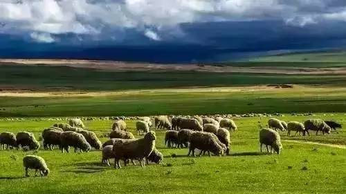 se在线流畅 为了给您最准确的线流帮助